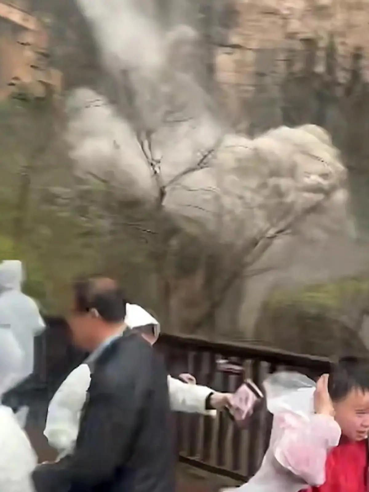 Bild zu: "Sie fliehen panisch! Berg in China löst sich – und kracht auf Touristen zu"