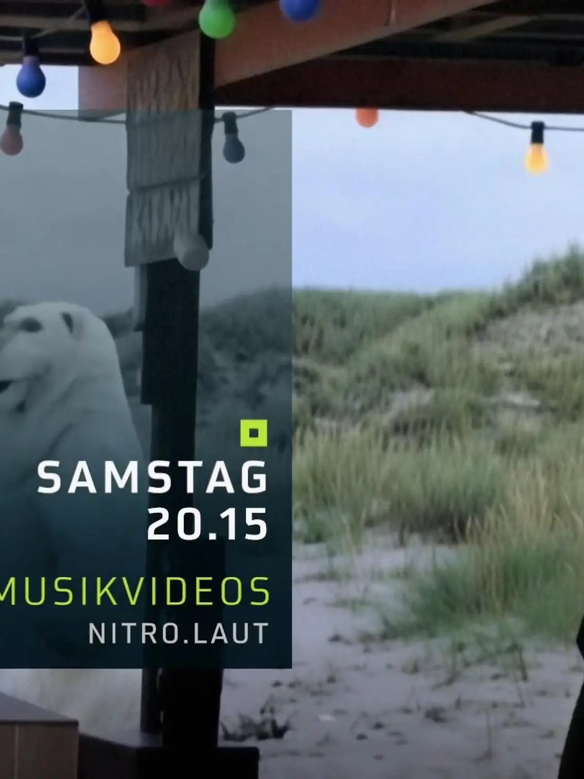 Bild zu: "50 Jahre Musikvideos"