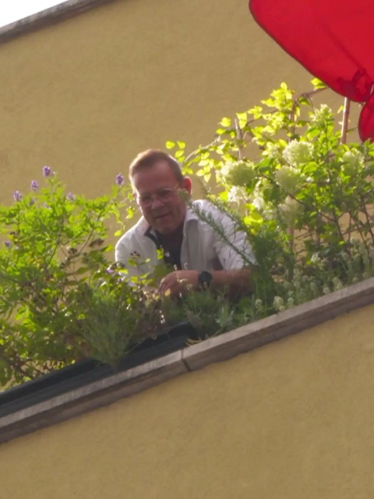 Ist das jetzt die typische überzogene Bürokratie oder sind diese Pflanzen wirklich eine Gefahr? Klemens Rolf hat Stress mit seiner Hausverwaltung. Und dabei geht es um seinen üppig bepflanzten Balkon. Die ganze Geschichte sehen Sie im Video.