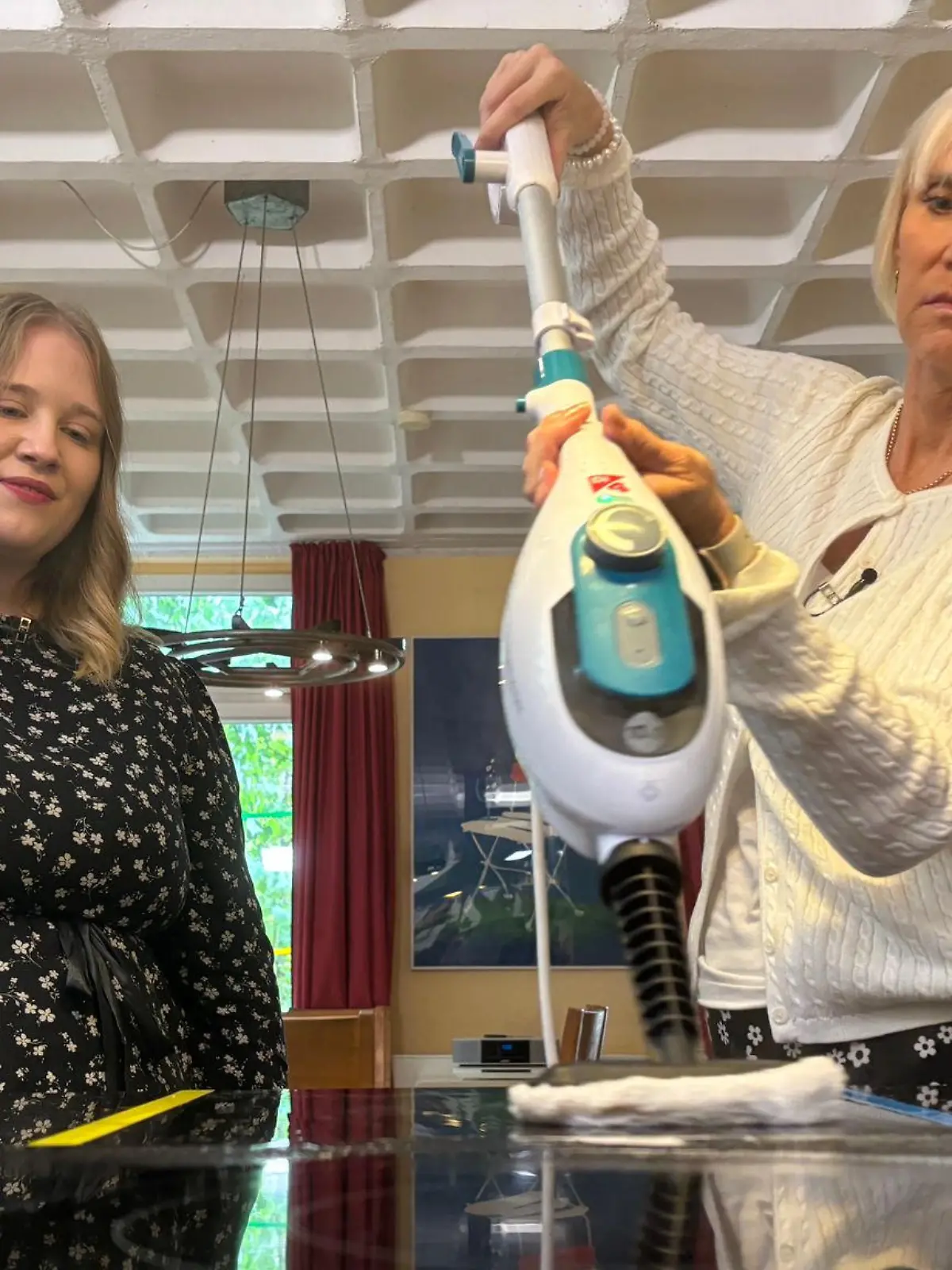 Bild zu: "Dampfreiniger im Praxistest - mehr als heiße Luft?"