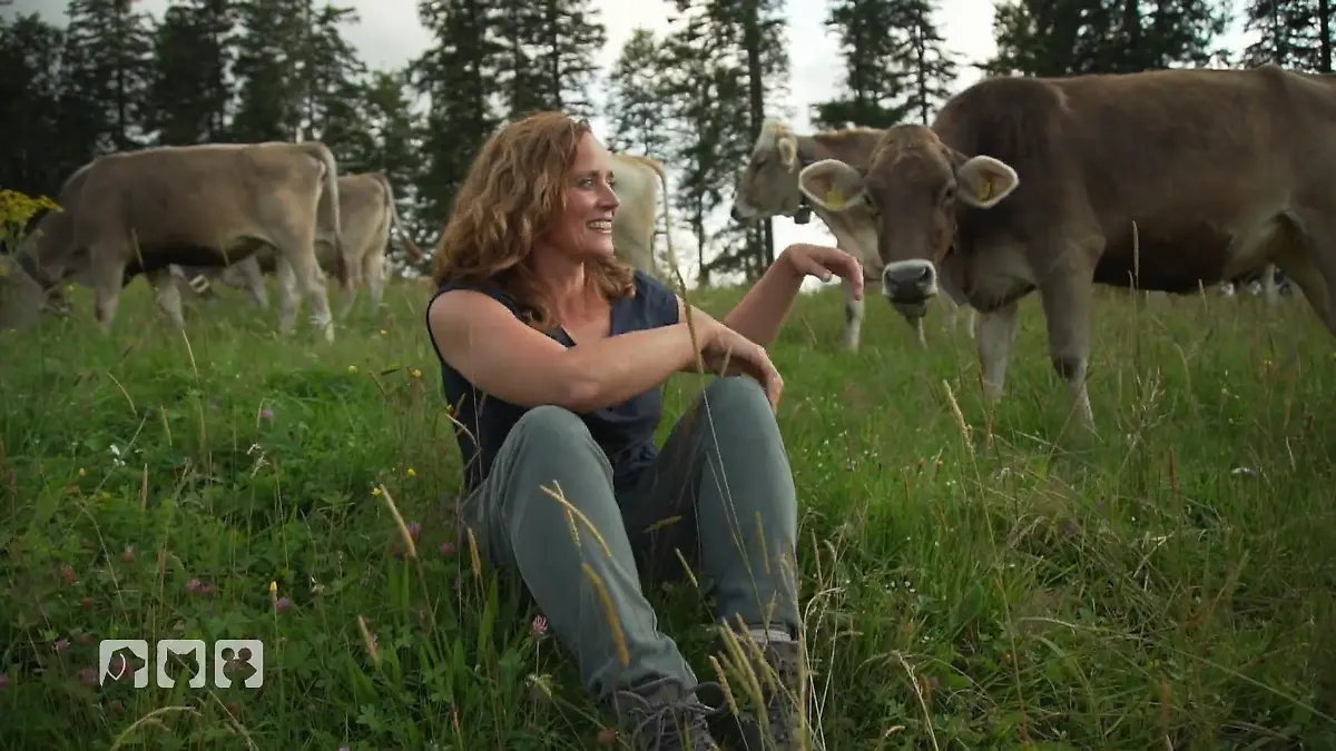 Kate Kitchenham besucht Kurs zum Thema "Hund und Kuh" Gefahr auf der Weide