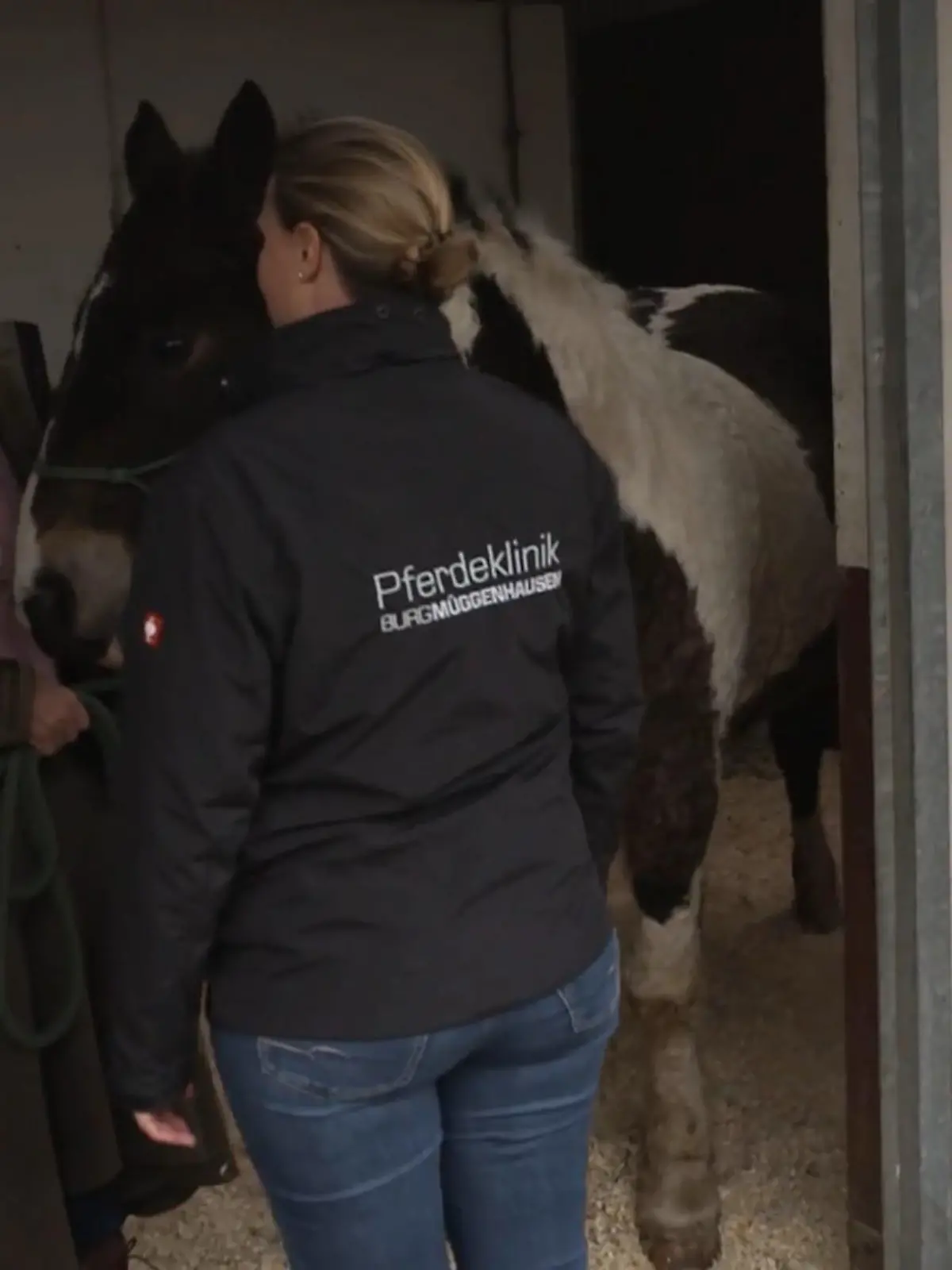 Bild zu: "Tierärztin Vanessa Andre kämpft um die Heilung eines schweren Hufabszesses"