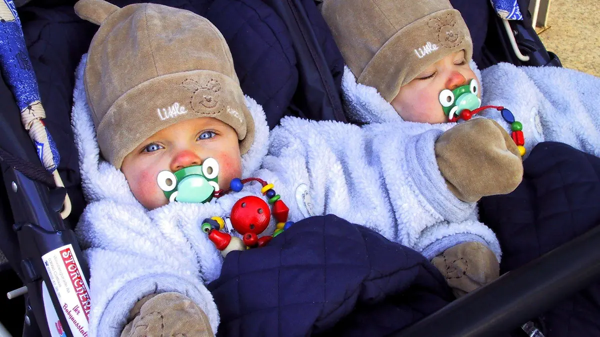 Cottbus (Brandenburg): Den warm angezogenen Zwillingen Nele (l) und Paula kann am 17.01.2000 in der südbrandenburgischen Stadt Cottbus in ihrem Kinderwagen das kalte Winterwetter nicht anhaben. In Cottbus sank die Temperatur in der voraus gegangenen Nacht auf minus neun Grad. Auch die kommende Nacht soll nach Angaben der Meteorologen erneut sehr kalt werden.  (COT01-170101)