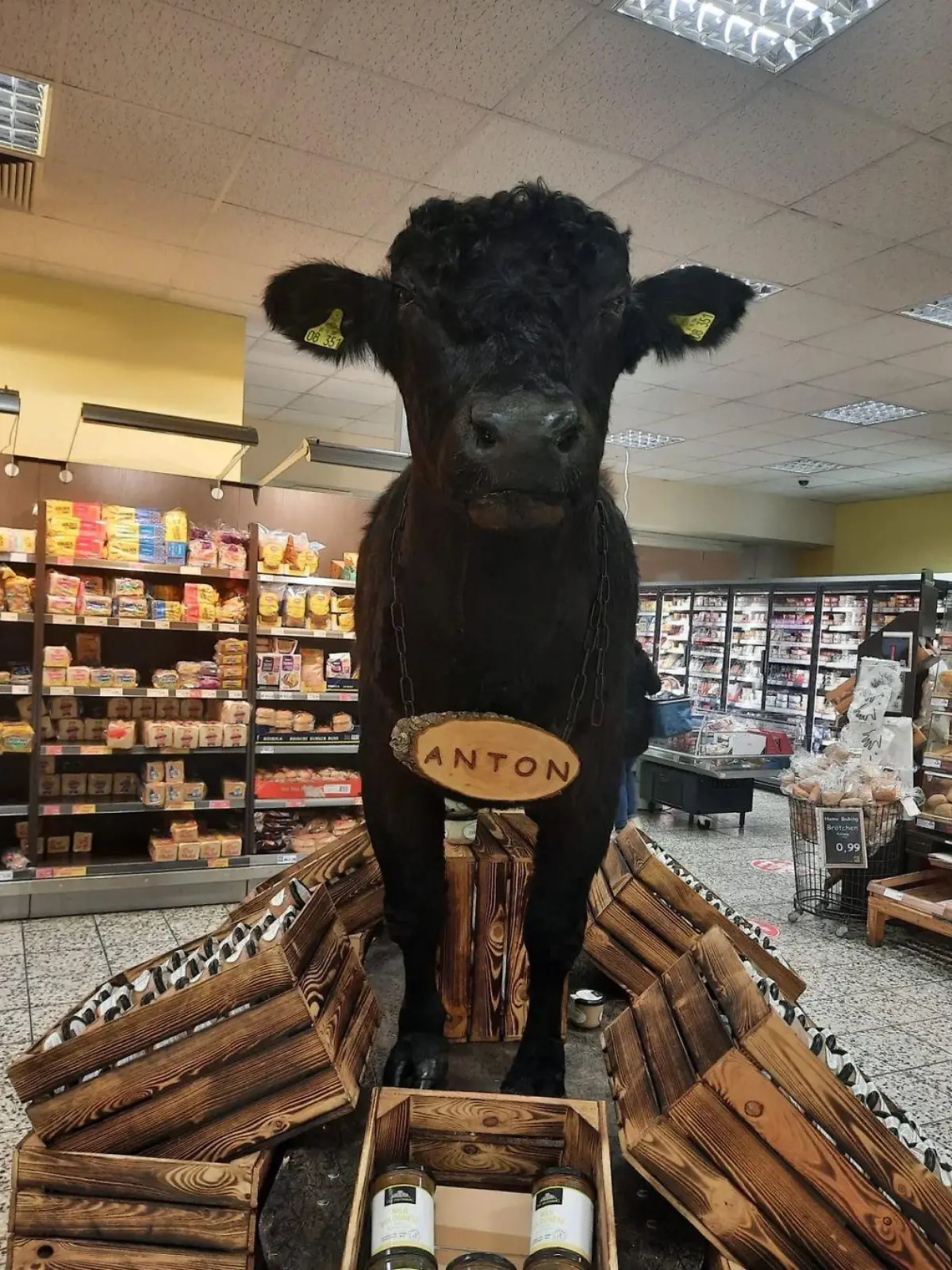Dieses ausgestopfte Rind sorgt in einem Edeka im brandenburgischen Hennigsdorf derzeit für Diskussionen.