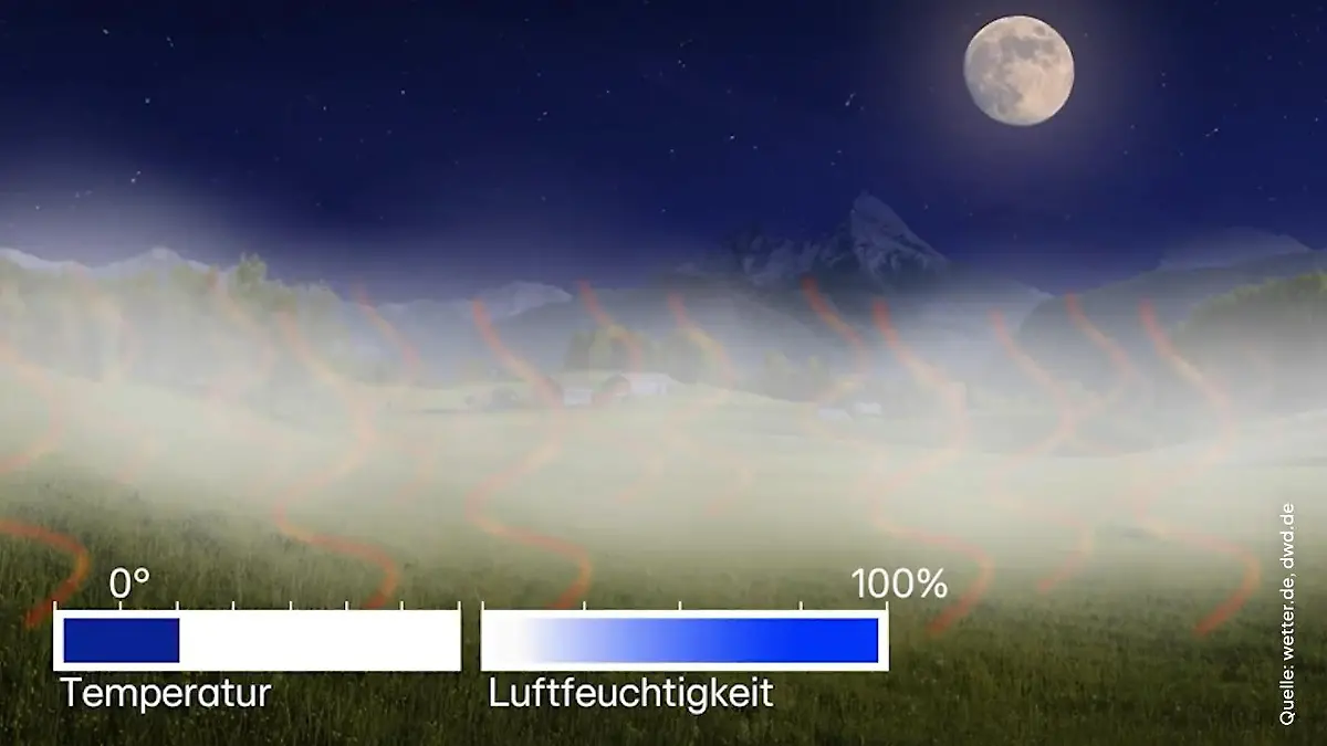 Herbst ist Nebelzeit So entsteht der Nebel genau