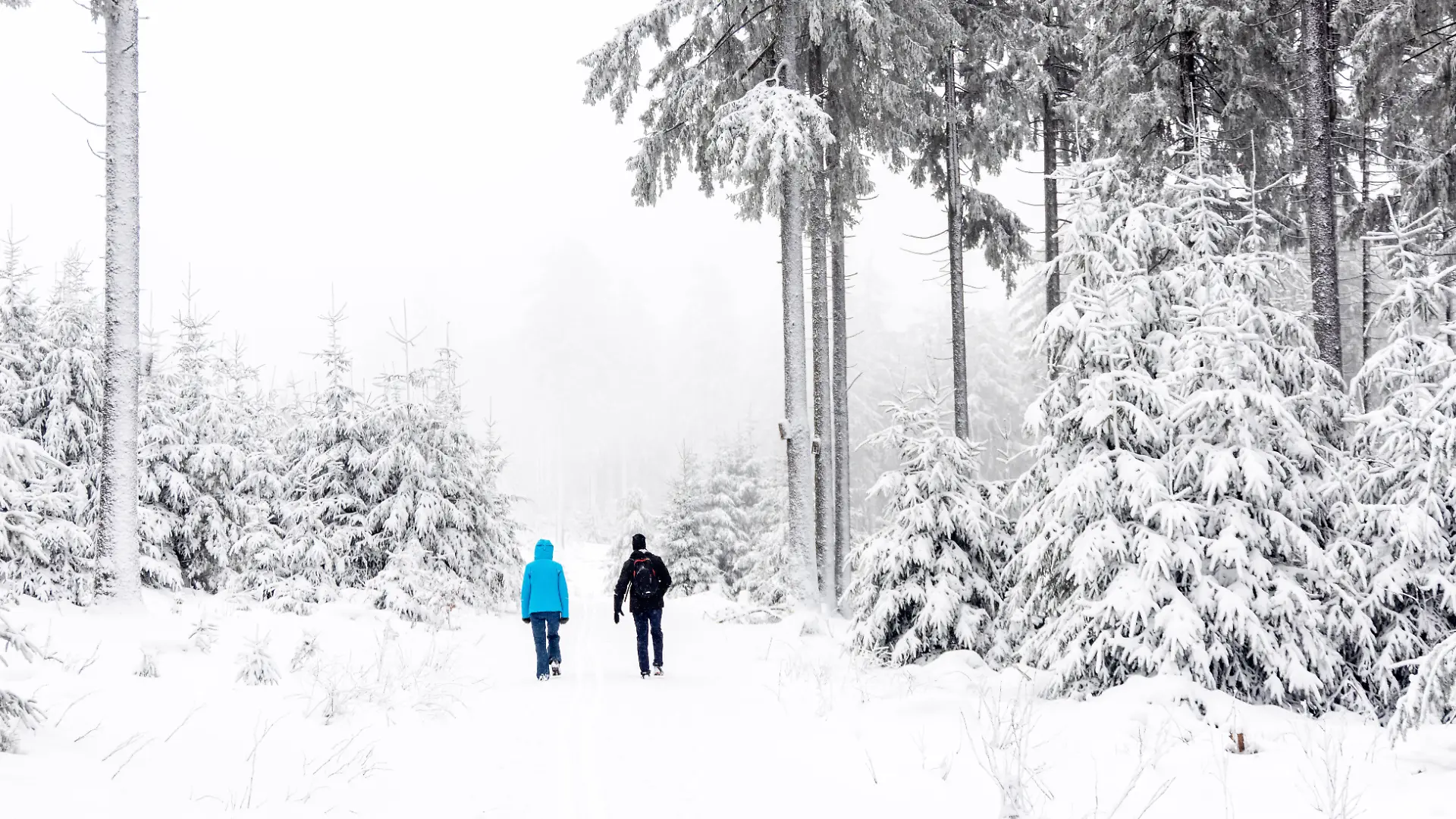 Schnee im Taunus Nach Schneefällen in der vergangenen Nacht zeigt sich die Landschaft am Großen Feldberg im Taunus winte