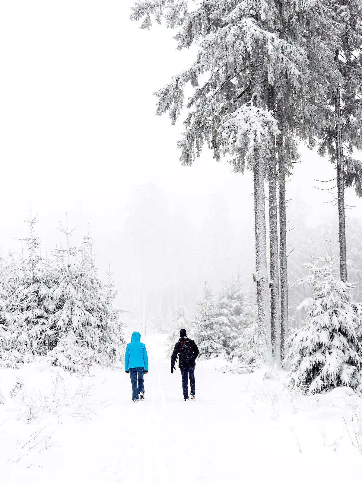 Schnee im Taunus Nach Schneefällen in der vergangenen Nacht zeigt sich die Landschaft am Großen Feldberg im Taunus winte