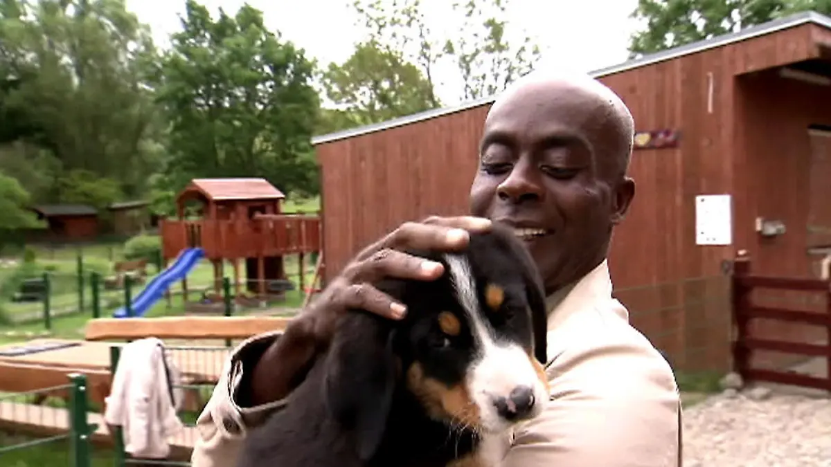 Bruce Darnell hat ein Herz für Tiere Juror rettet Tierhof