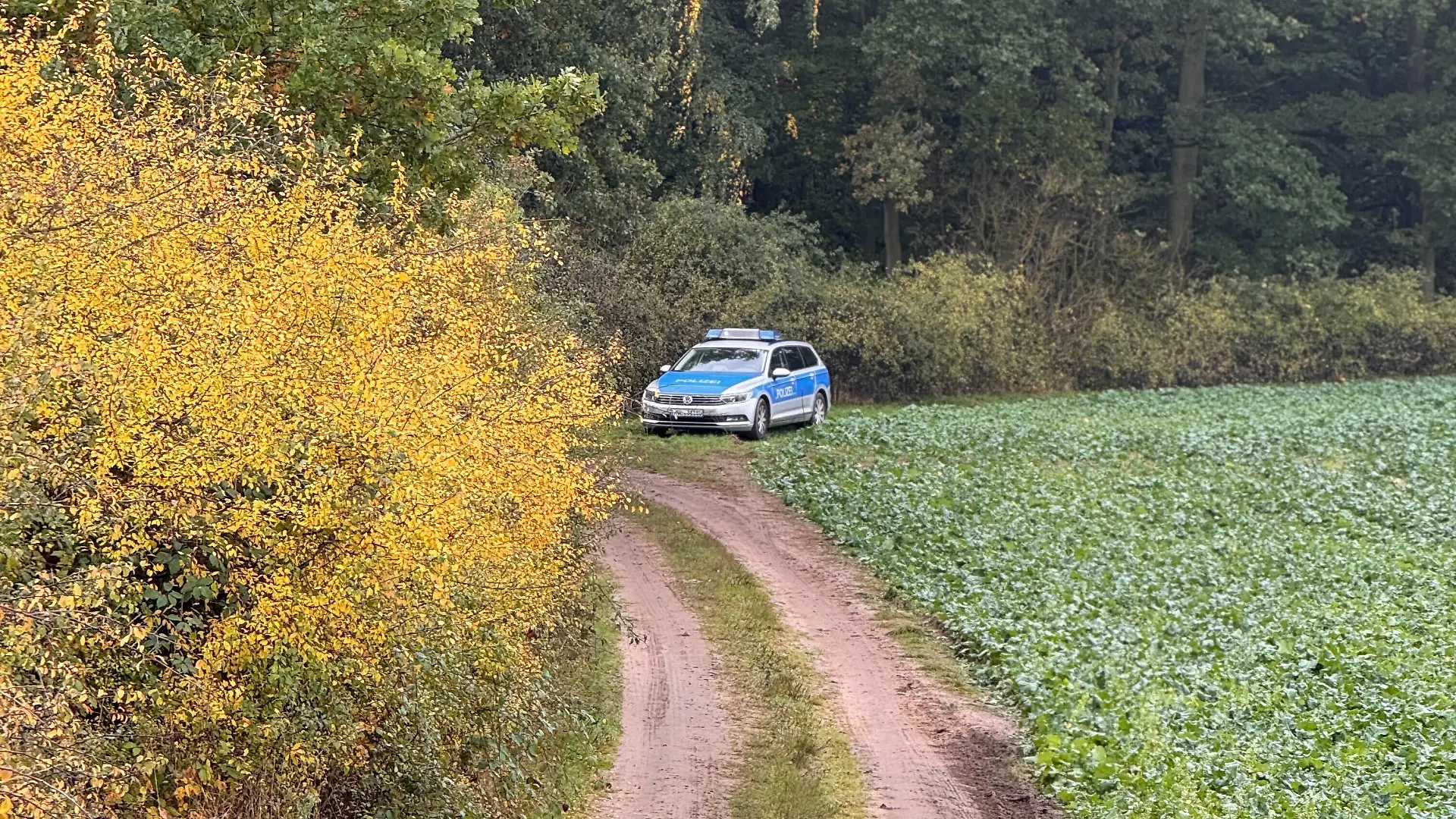 Polizeiauto in der Nähe des Leichenfundorts 