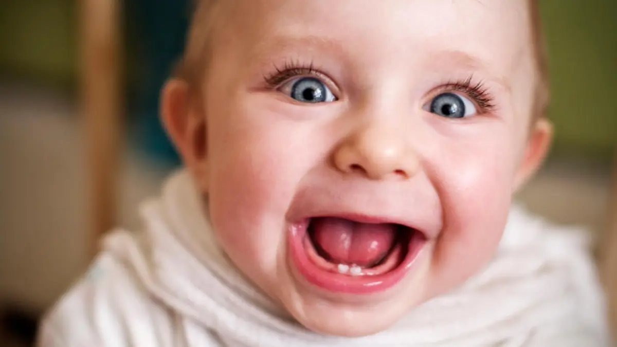 iStock 000012796663Small.jpg