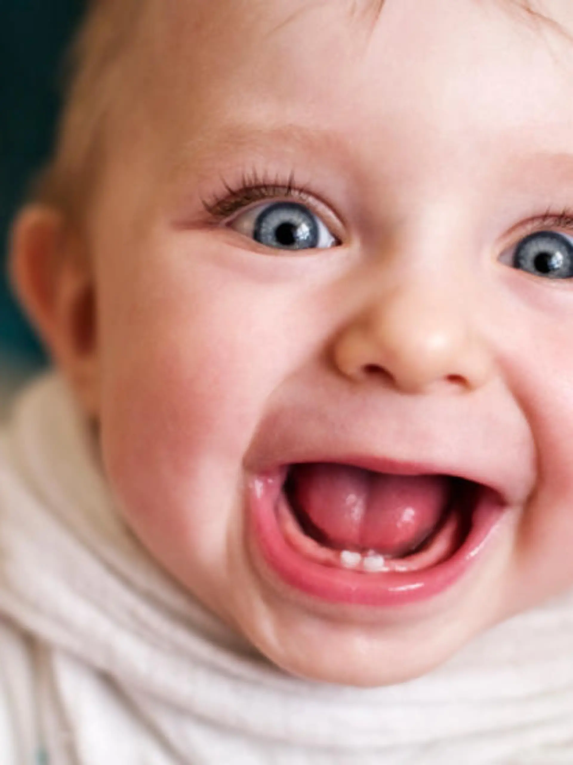 iStock 000012796663Small.jpg