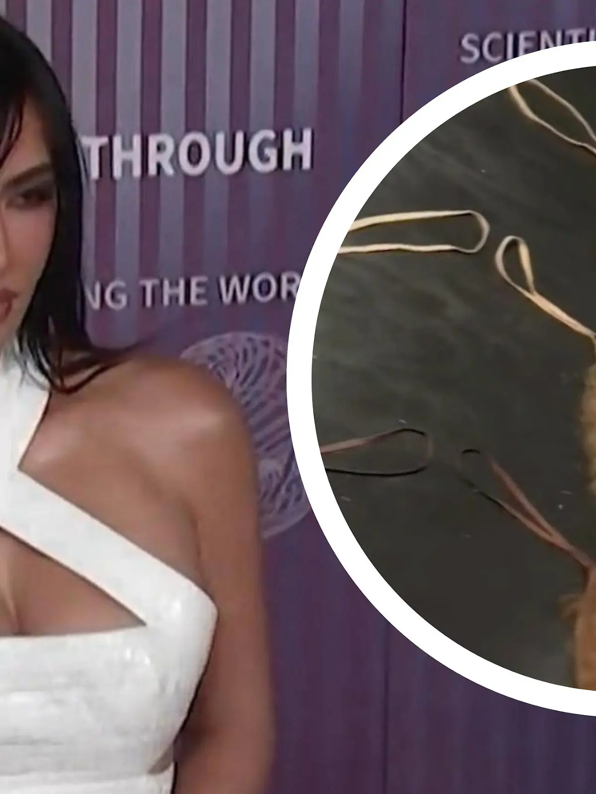 Bild zu: "Schamhaar-Slips in allen Farben! Kim Kardashian macht Schluss mit unten ohne"