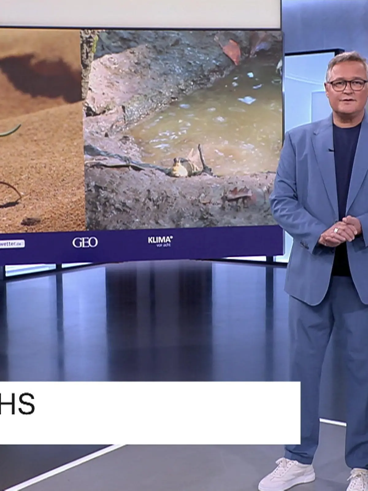 Bild zu: "Der Shinkansen - vom Eisvogel zur Innovation"