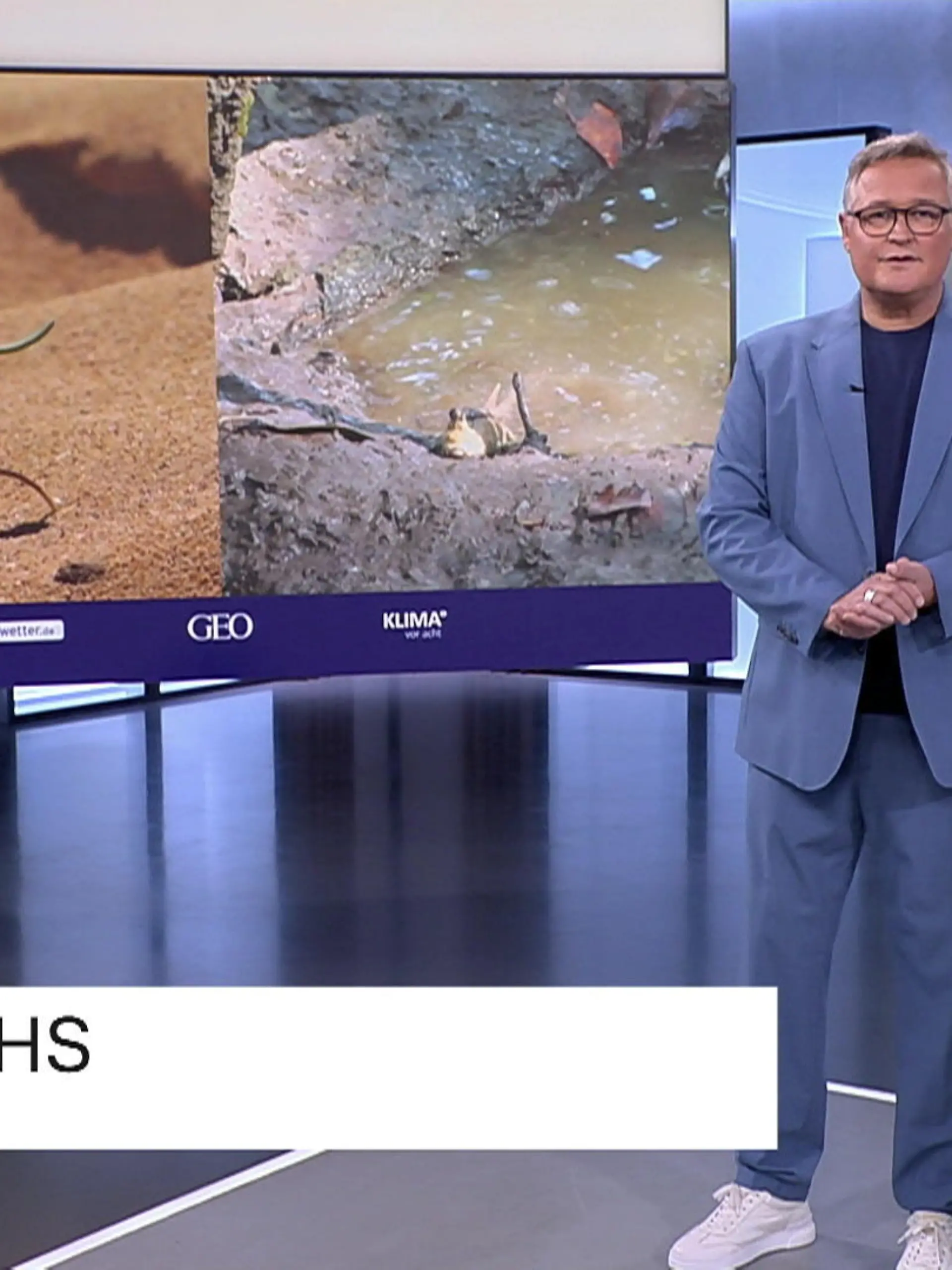 Bild zu: "Der Shinkansen - vom Eisvogel zur Innovation"