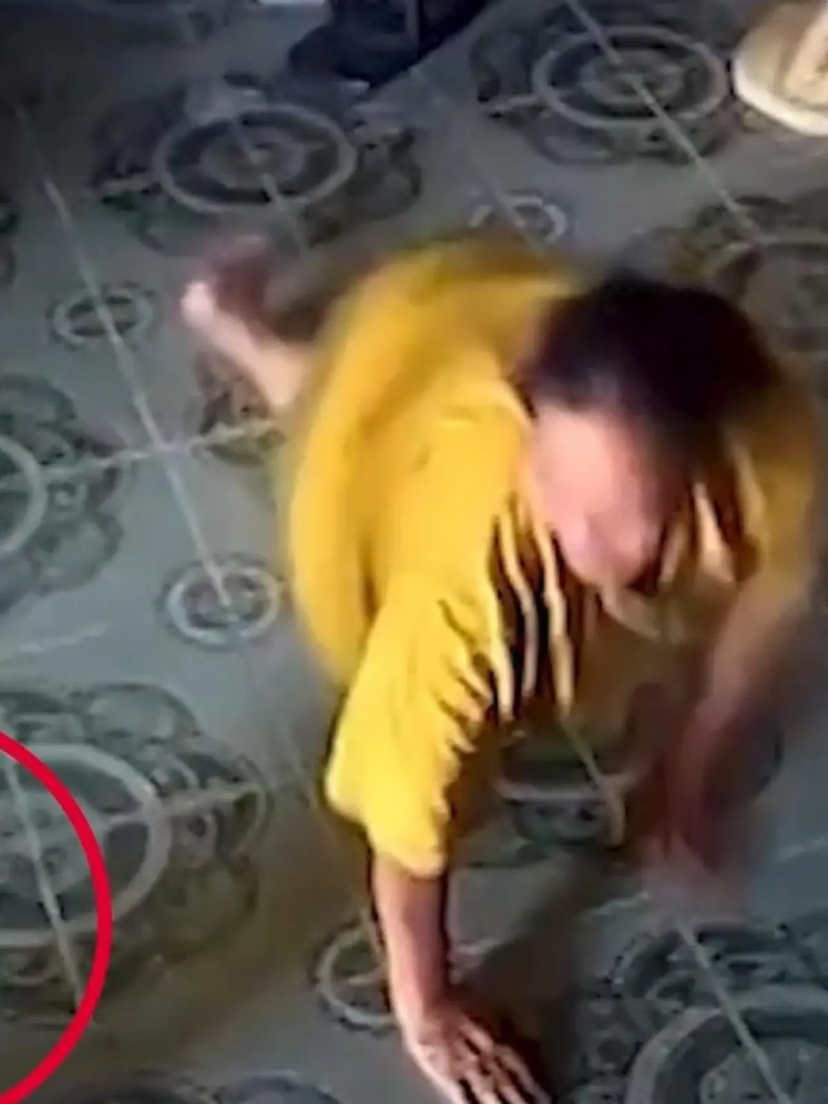 Bild zu: "Tödliche Gefahr im eigenen Haus! Hochgiftige Kobra überrascht Rentnerin (66)"