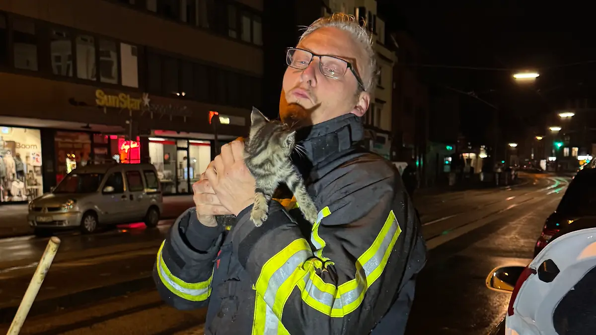 Das Kätzchen konnte von der Feuerwehr befreit werden