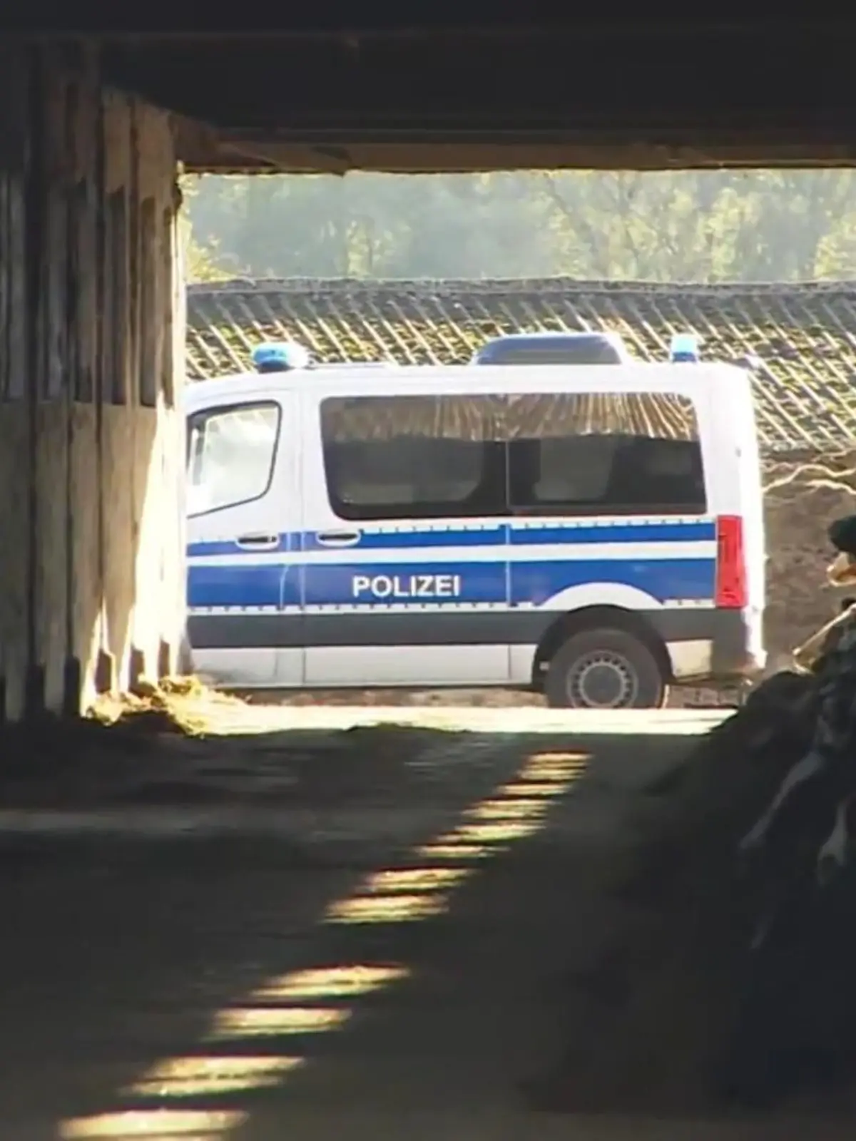Bild zu: "Polizeieinsatz im Fall Fabian (†8)! Ermittler durchsuchen Bauernhof in Reimershagen "