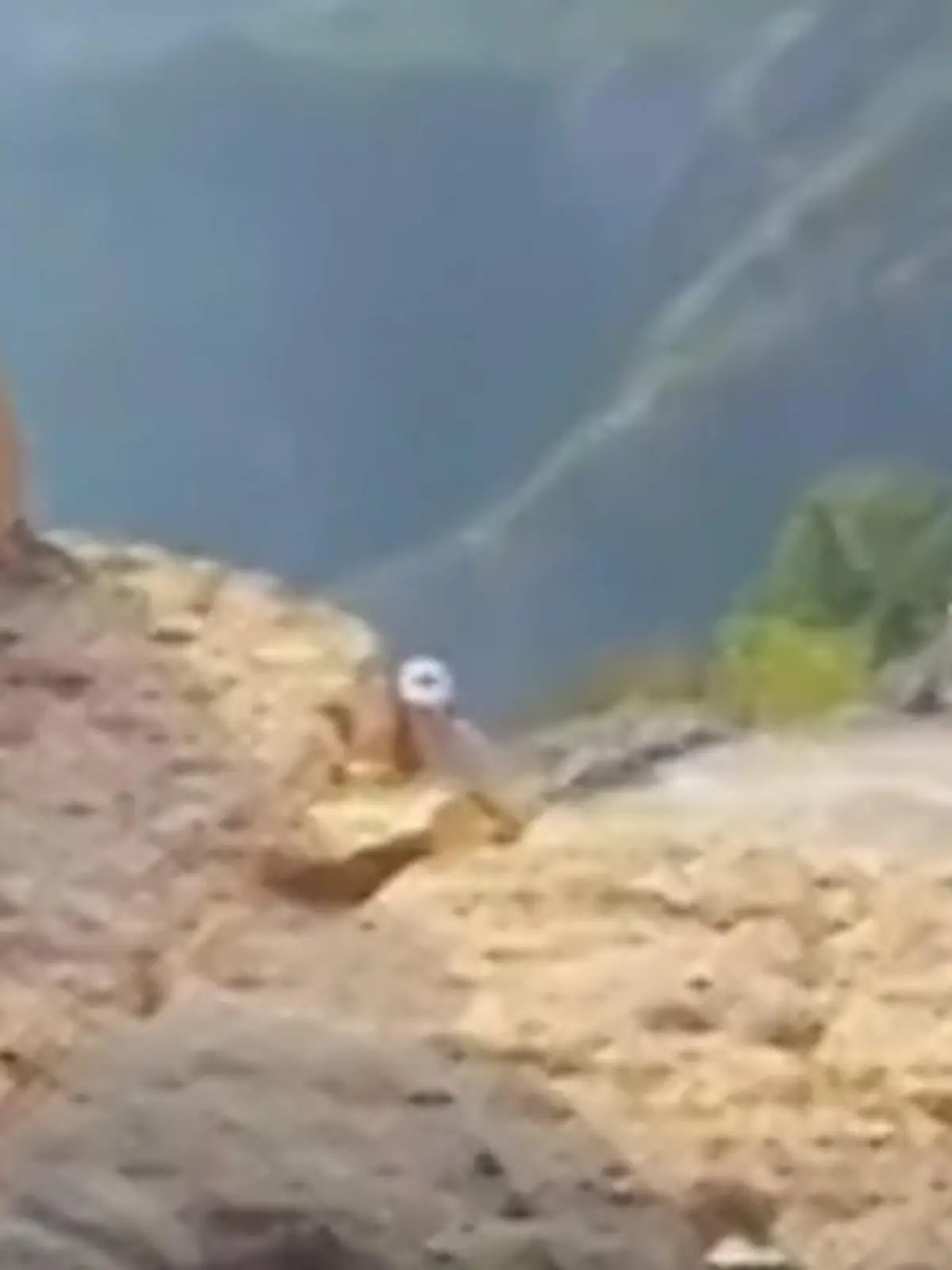 Bild zu: "Sie machen's inmitten von Touristen! Liebespaar landet im Knast"