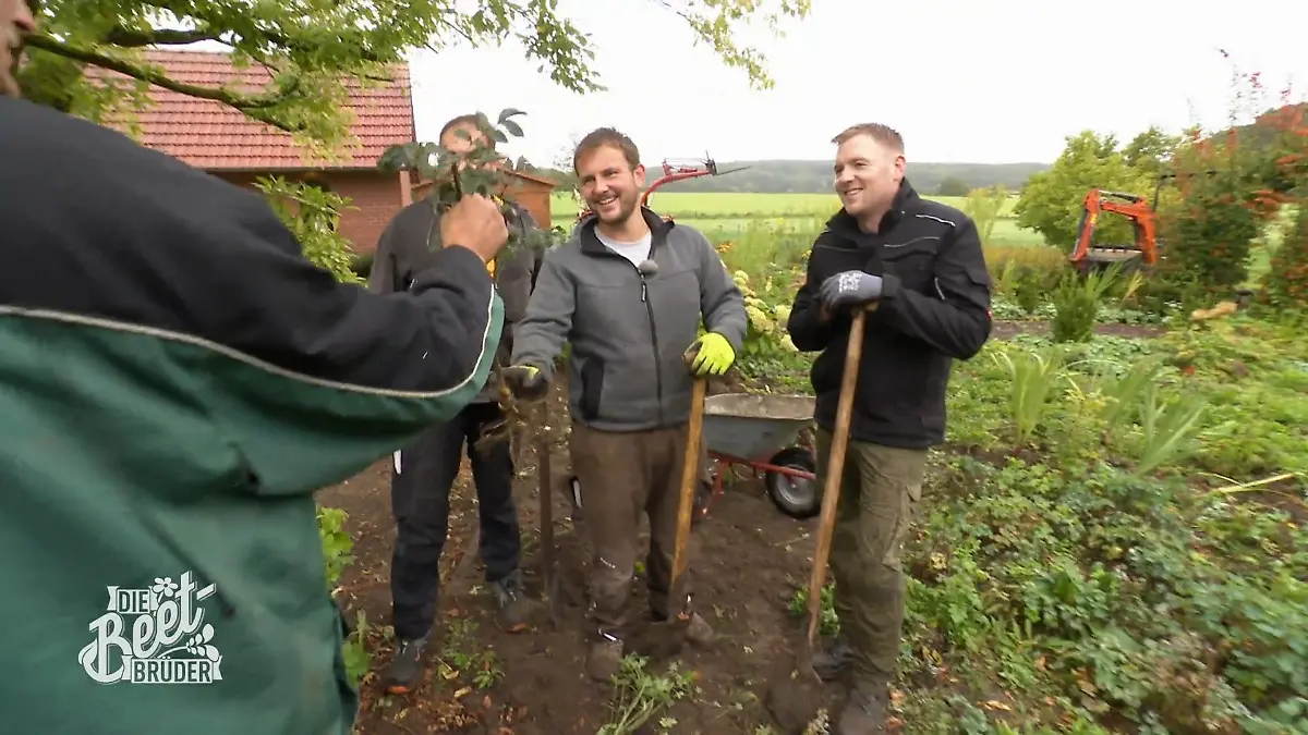 Die Beet-Brüder schonen das Beste Grüne Rettungsaktion