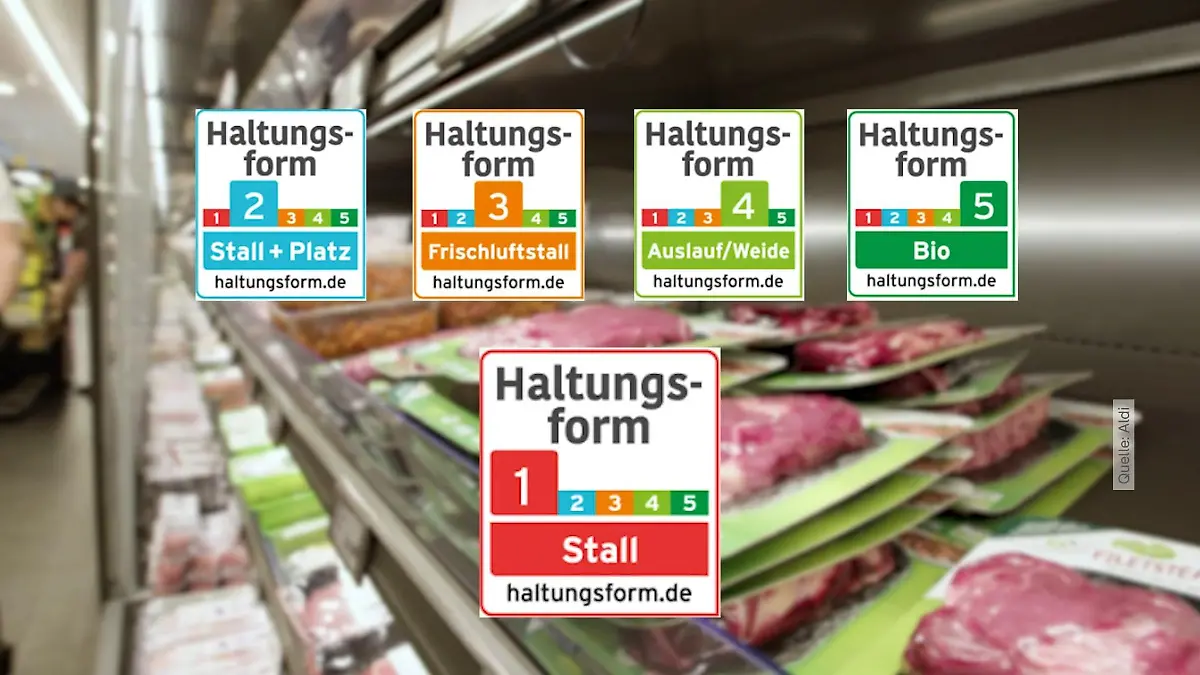 Fleisch wird fairer – wird’s jetzt auch teurer? Aldi startet radikalen Umbau Das bedeutet es für Kunden