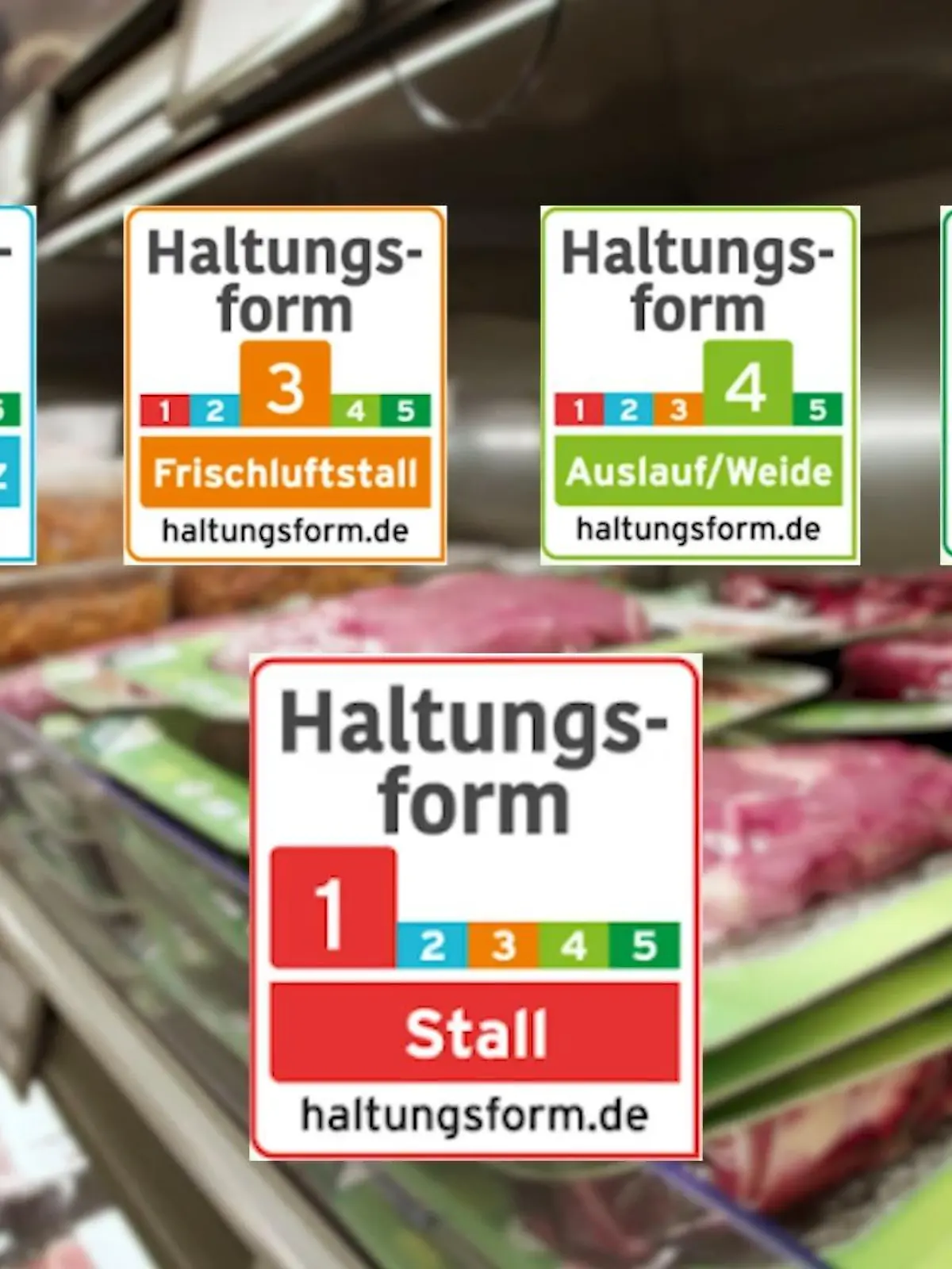 Bild zu: "Fleisch wird fairer – wird’s jetzt auch teurer? Aldi startet radikalen Umbau"