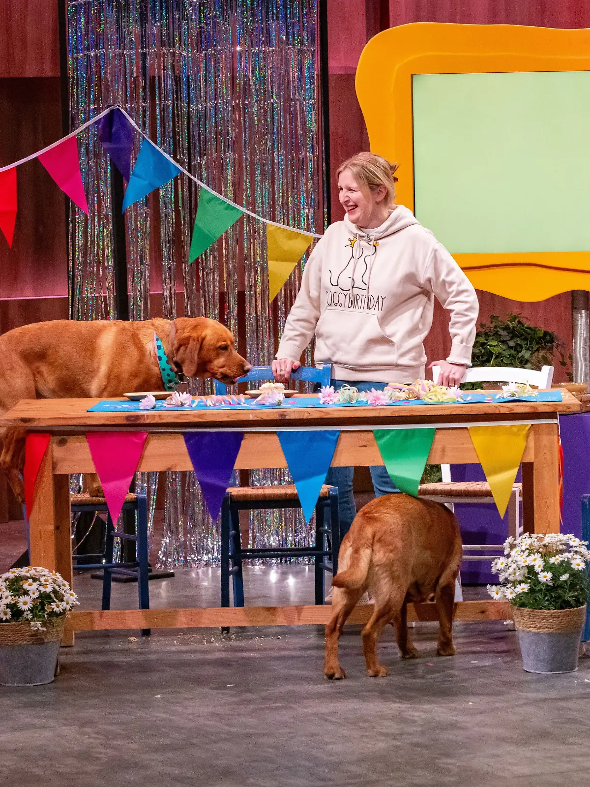 Nadine Peters (l.) und Pamela Tinnemeyer präsentieren mit Doggybirthday Produkte für Hundegeburtstage. Sie erhoffen sich ein Investment von 50.000 Euro für 20 Prozent der Firmenanteile. 