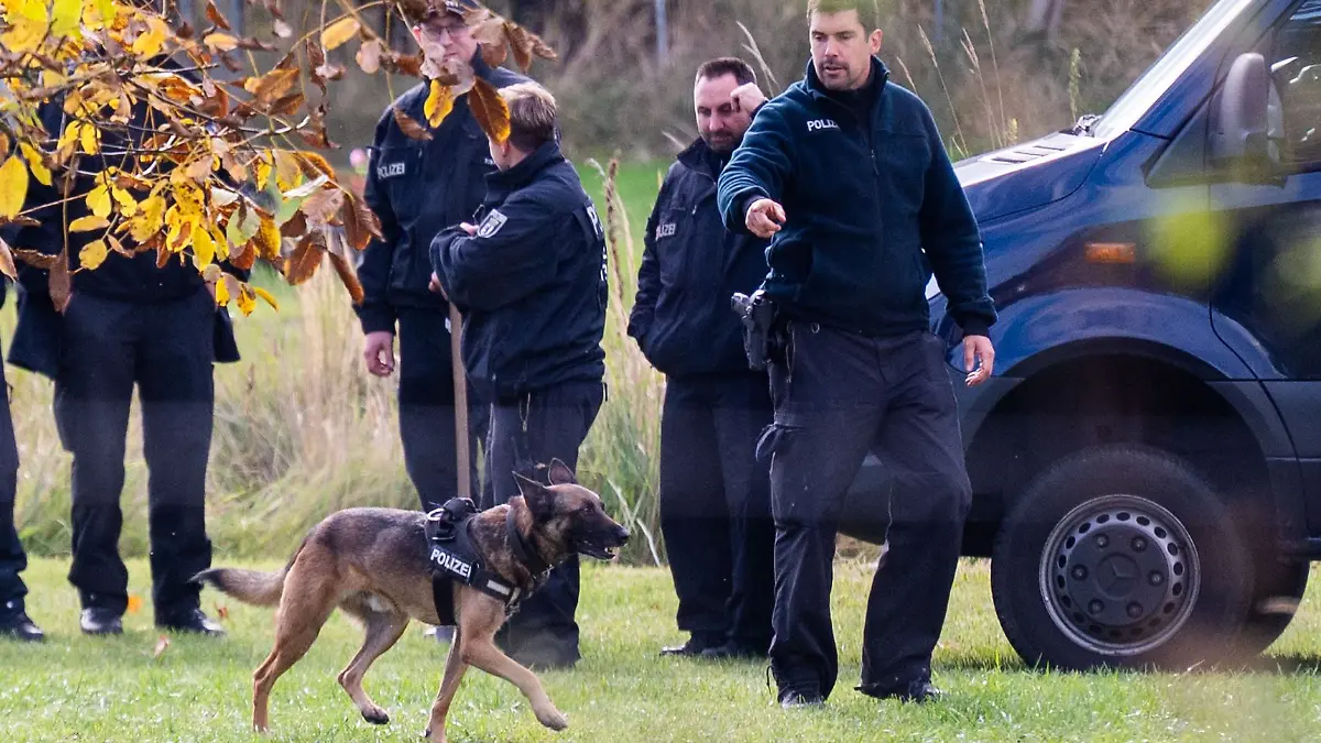 Auch Leichenspürhunde kommen bei der Suche nach Rebecca zum Einsatz