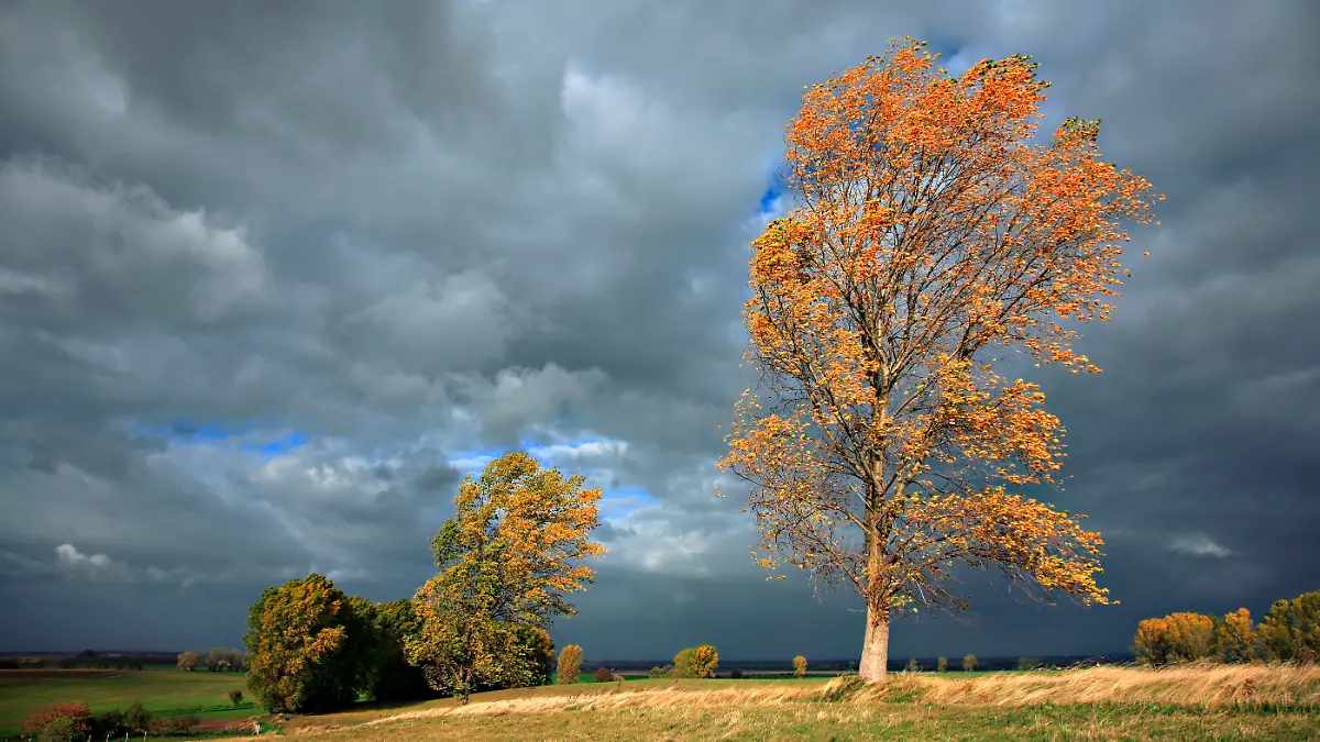 Herbststurm mit ordentlich Wind.