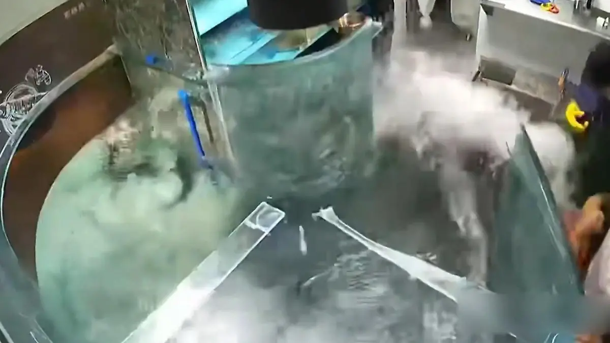 Aquarium explodiert! Hunderte Liter Wasser fluten Restaurant Fische schwimmen durch Lokal