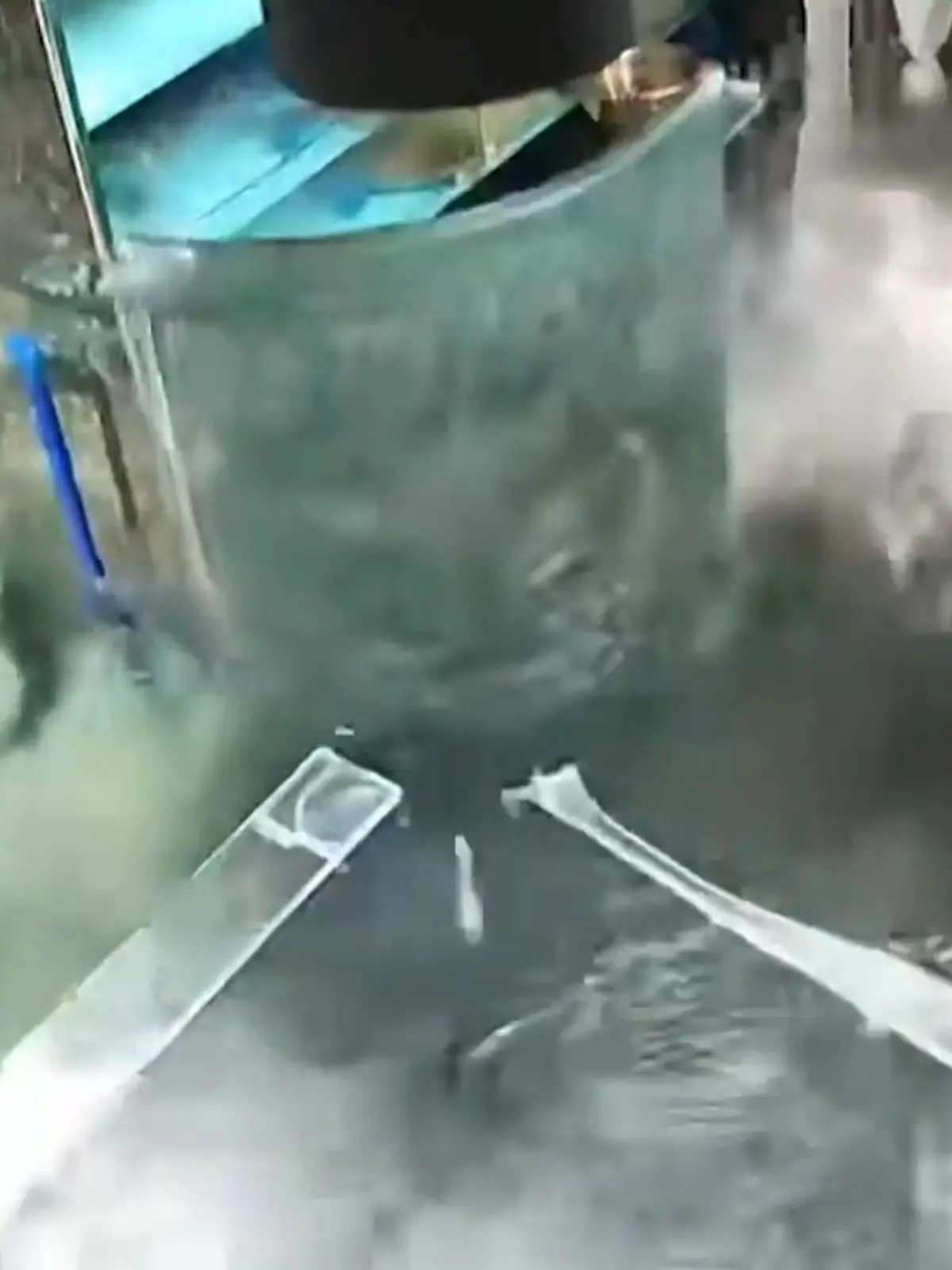 Bild zu: "Aquarium explodiert! Hunderte Liter Wasser fluten Restaurant"