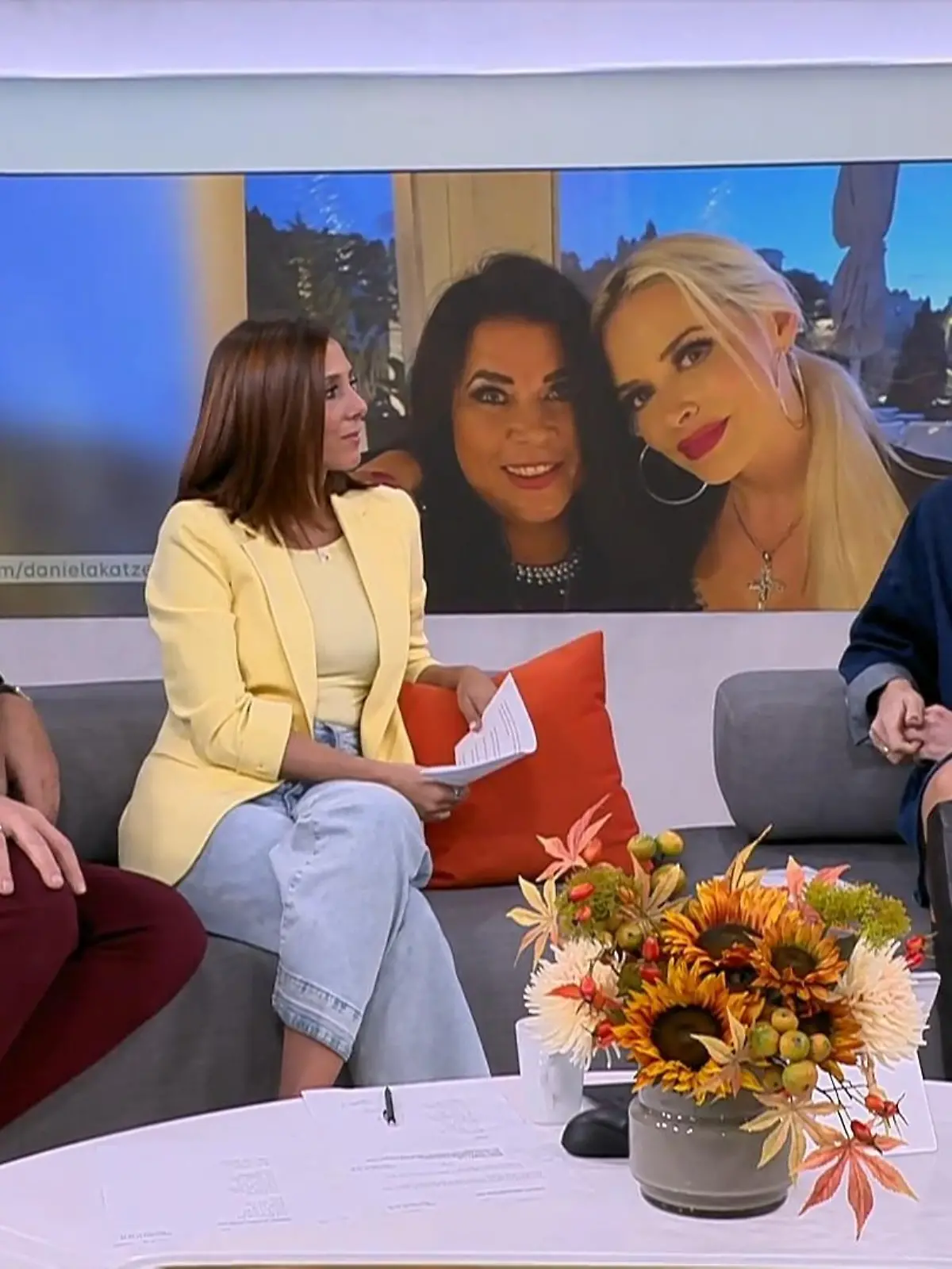 Bild zu: "Mama Iris hat sich „nicht immer im Griff”– Katze zeigt klare Kante"