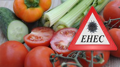 Ehec-Ausbruch! Wie ihr euch am besten vor einer Infektion schützen könnt
