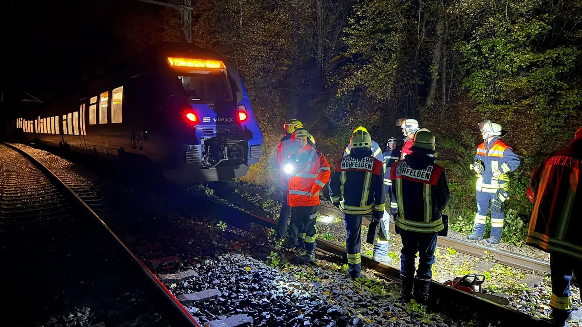 Bei dem Zusammenstoß mit einem Baum wurde kein Passagier des Zuges verletzt.