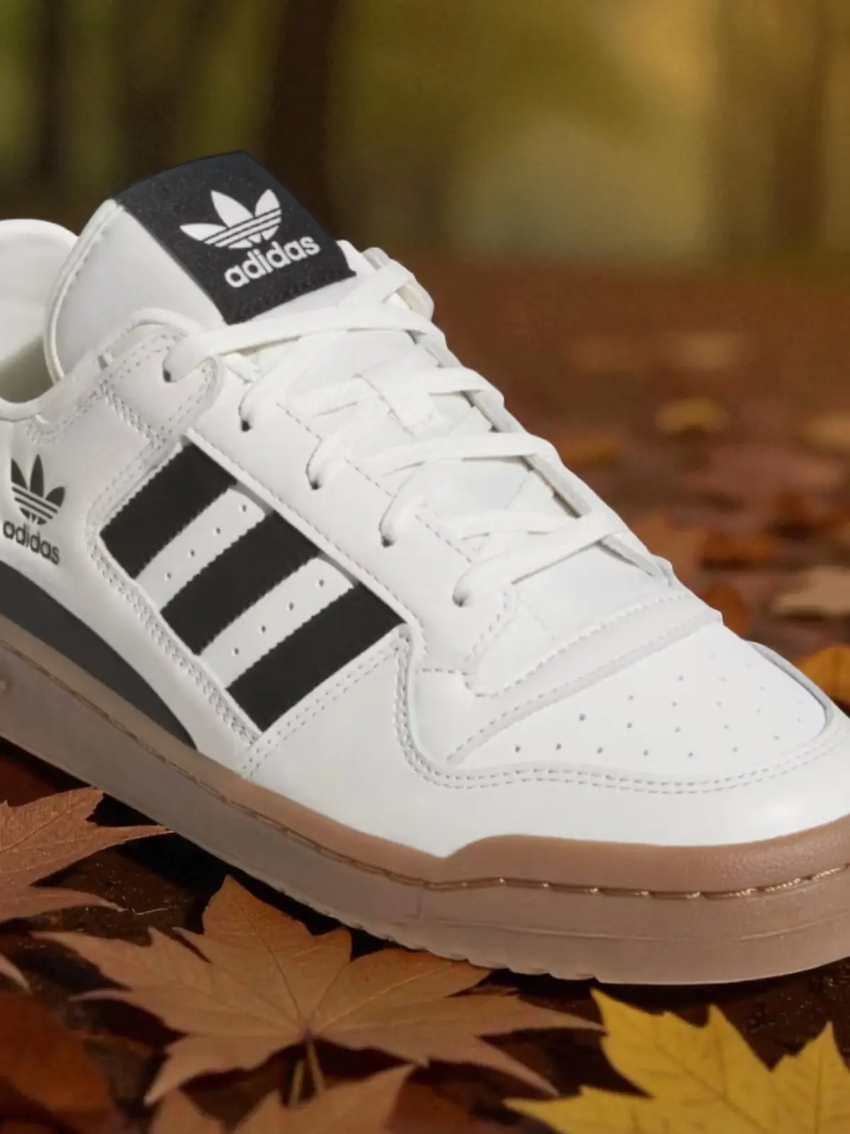 Der Adidas Forum Low – ein Sneaker-Classic, der in diesem Herbst sein großes Comeback feiert.