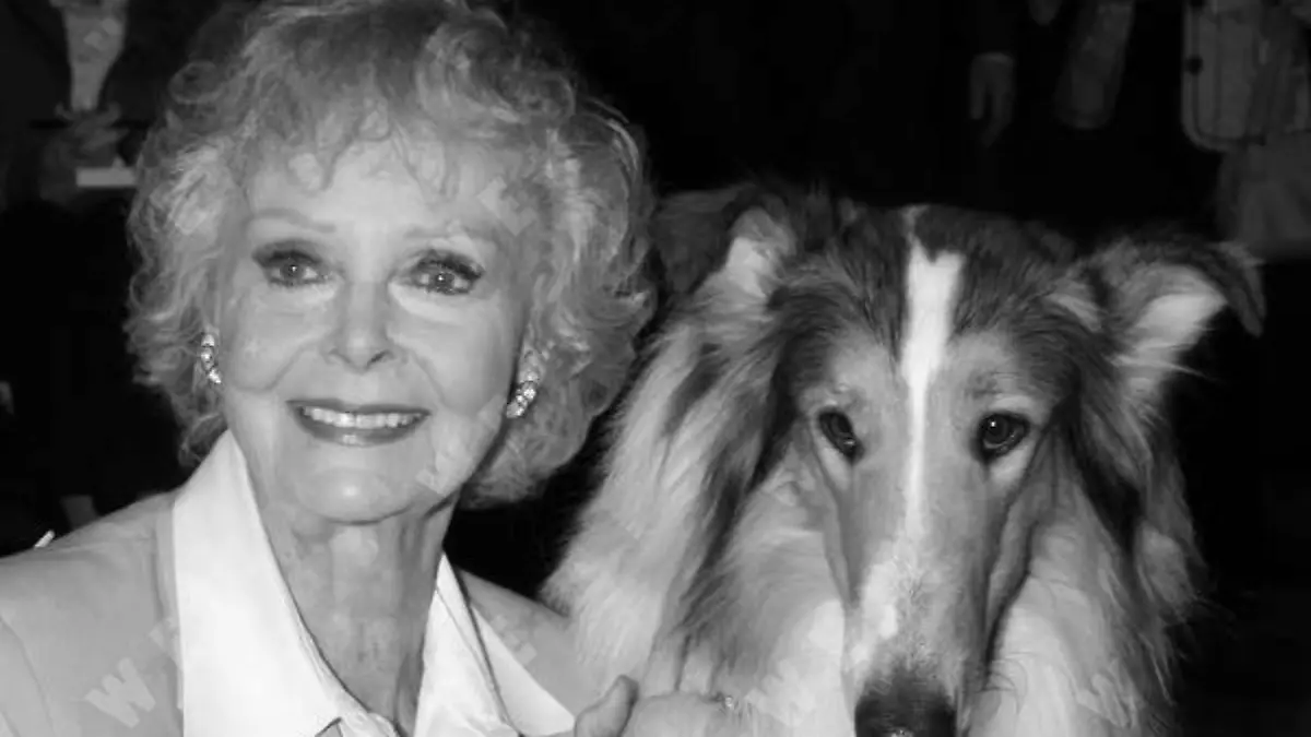 June Lockhart & Lassie USPS Early TV Memories stamps unveiled at the Academy of Television Arts & Sciences in Nort Holly