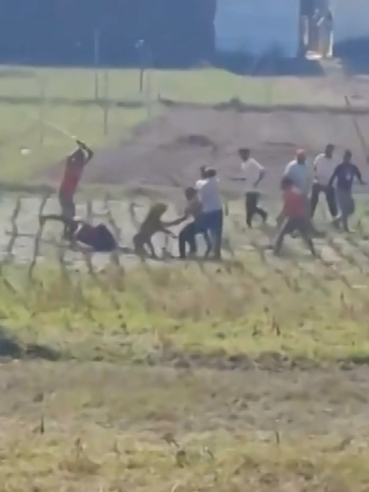 Bild zu: "Raubtier-Angriff auf dem Feld! Leopard stürzt sich auf Dorfbewohner "