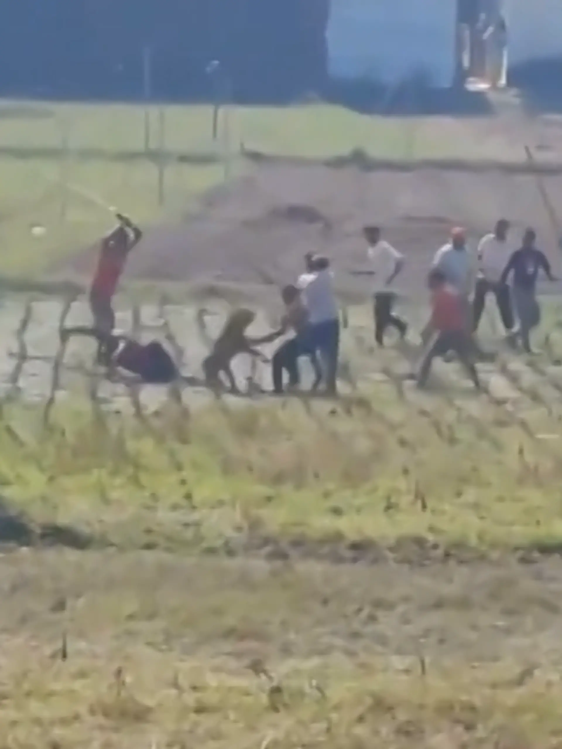 Bild zu: "Raubtier-Angriff auf dem Feld! Leopard stürzt sich auf Dorfbewohner "
