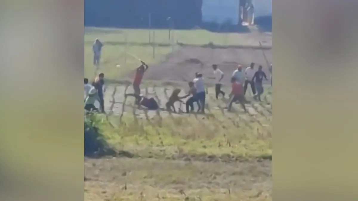 Raubtier-Angriff auf dem Feld! Leopard stürzt sich auf Dorfbewohner Sie wehren sich mit Stöcken