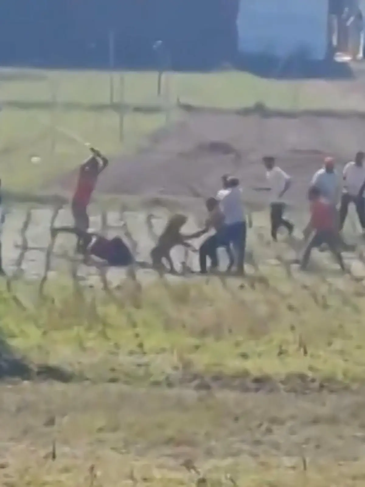 Bild zu: "Raubtier-Angriff auf dem Feld! Leopard stürzt sich auf Dorfbewohner"