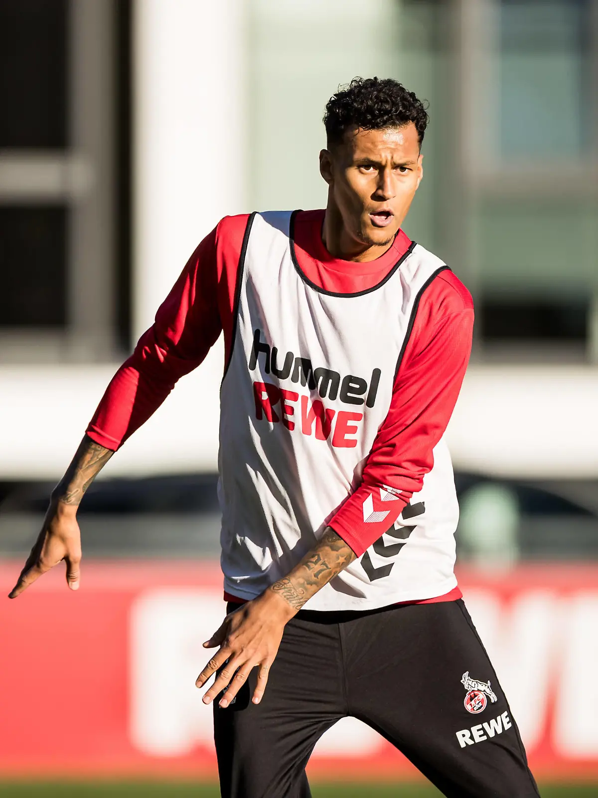 Training 1. FC Koeln 03.01.2023 Davie Selke 1. FC Koeln, 27 Training 1. FC Koeln Geissbockheim, 03.01.2023 *** Training 1 FC Koeln 03 01 2023 Davie Selke 1 FC Koeln, 27 Training 1 FC Koeln Geissbockheim, 03 01 2023 Copyright: xBEAUTIFULxSPORTS/Wunderlx