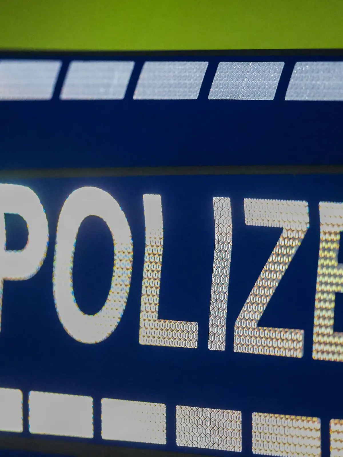 Bild zu: "Spaziergänger findet skelettierte Leiche in der Oberpfalz"