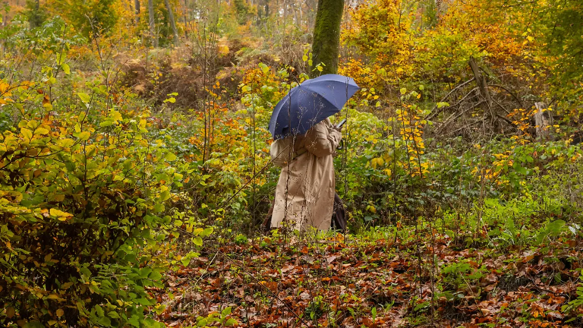 Herbst