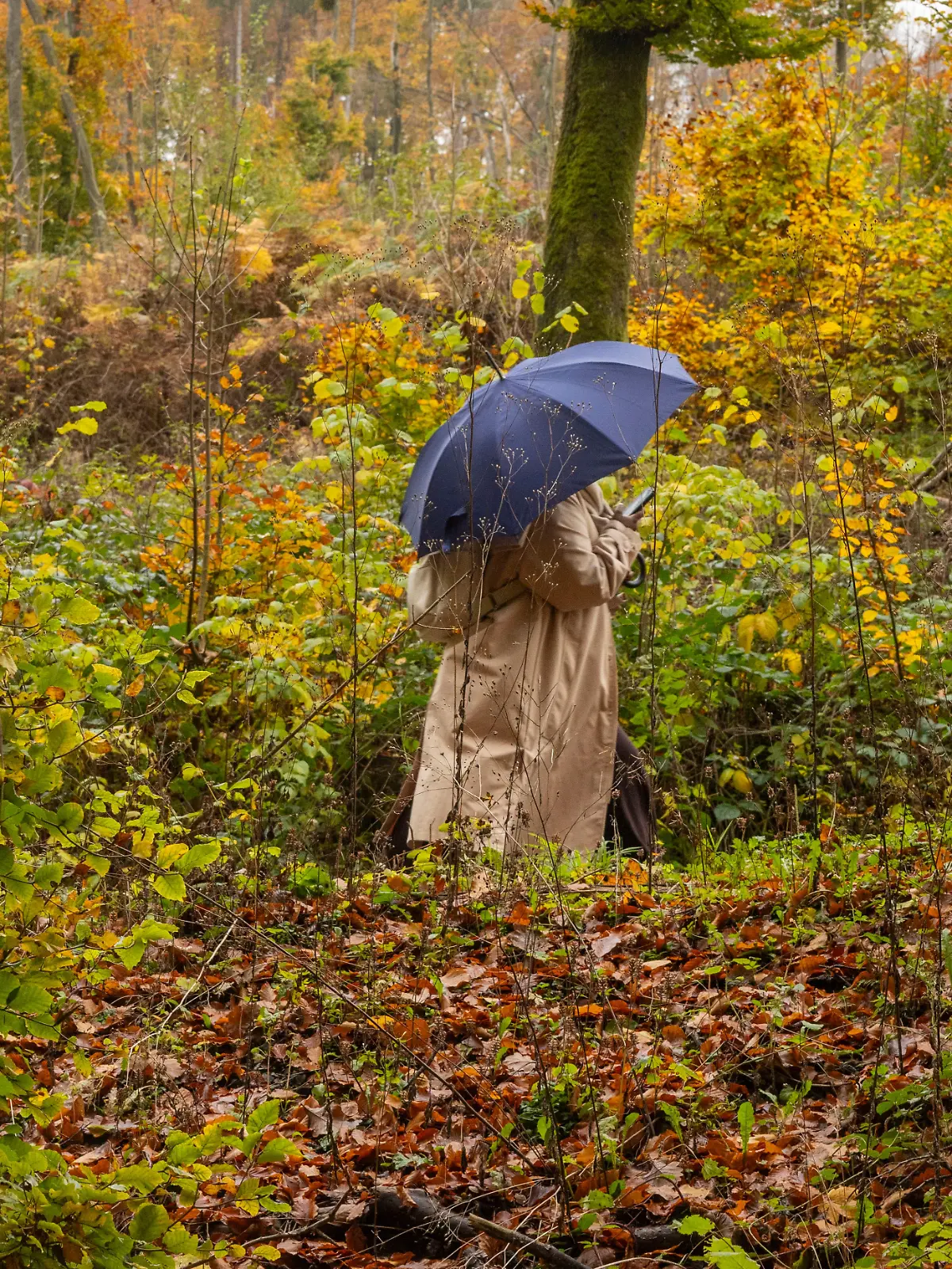 Herbst