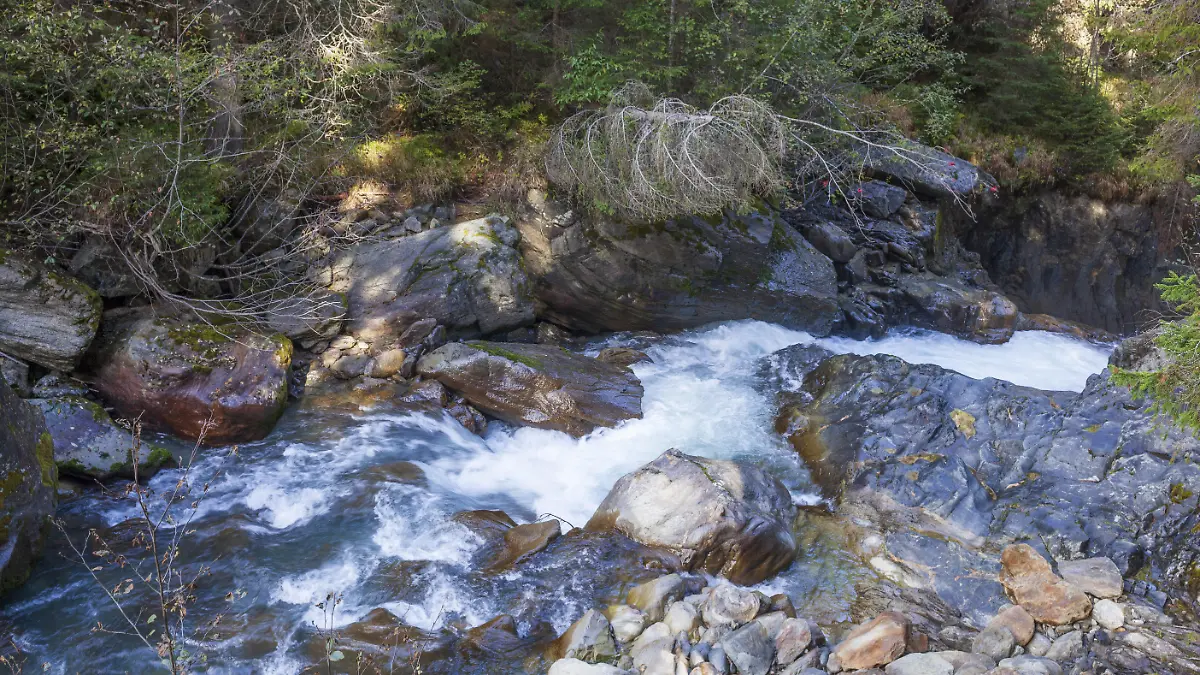 Schock-Fund mitten in der Natur: Die Tote saß auf einem Stein in einem Bachbett. (Symbolbild)