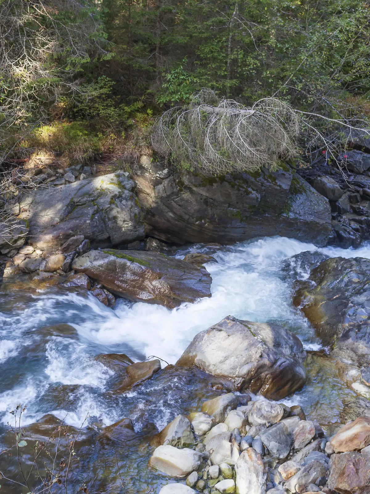 Schock-Fund mitten in der Natur: Die Tote saß auf einem Stein in einem Bachbett. (Symbolbild)