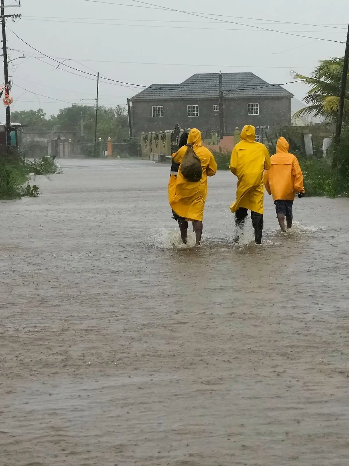 Bild zu: "Hurrikan „Melissa” verwüstet Jamaika – jetzt warnen die Behörden vor Krokodilen in den Straßen"