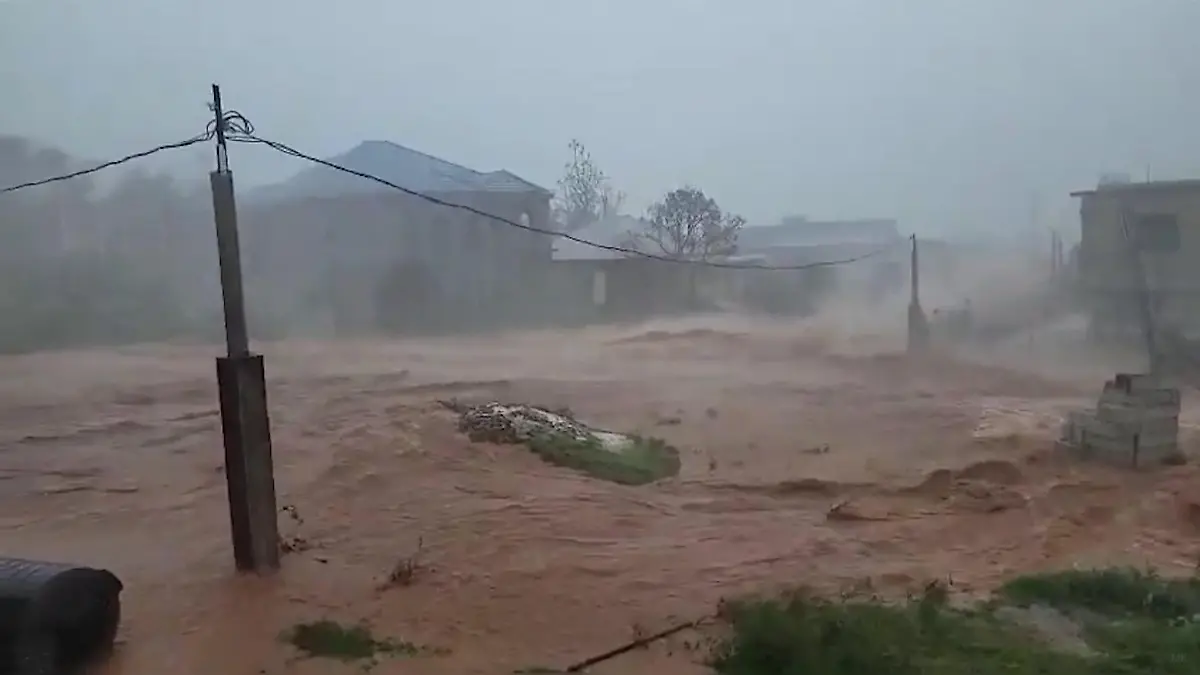 Regierung warnt Bevölkerung jetzt vor Krokodilen Hurricane Melissa verwüstet Jamaika