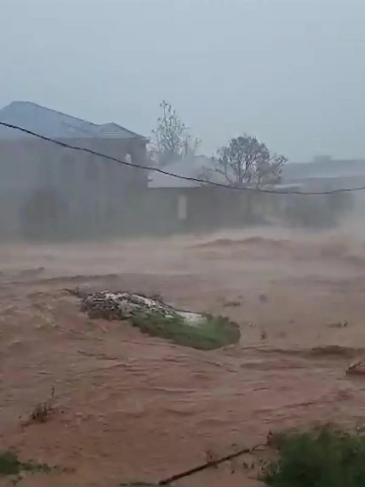 Bild zu: "Regierung warnt Bevölkerung jetzt vor Krokodilen"