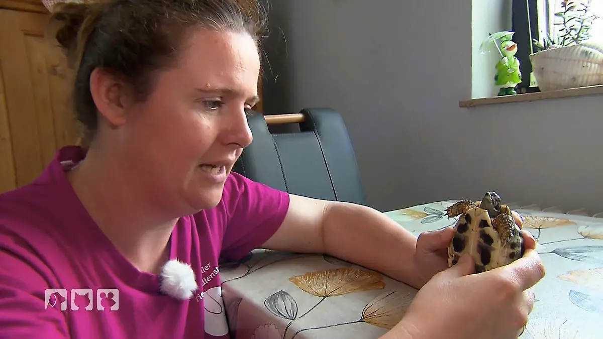 Tierärztin Nadine Küpper kümmert sich um eine rätselhafte Schildkröte Einsatz mit Panzer