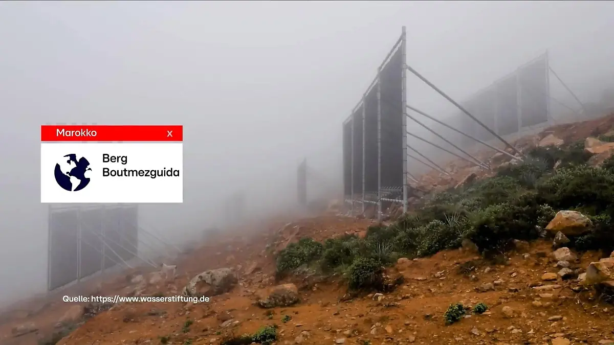 Cloud Fishing als innovative Lösung Wassergewinnung im Schwarzwald